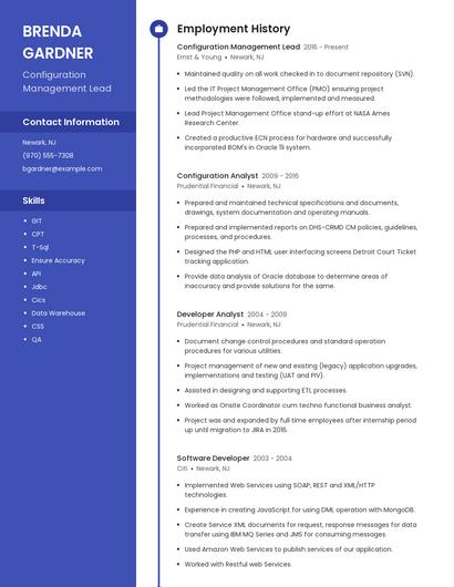 Configuration Management Lead Resume