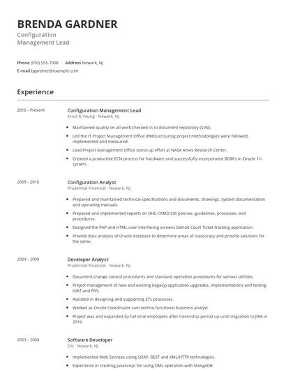 Configuration Management Lead Resume