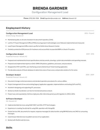 Configuration Management Lead Resume