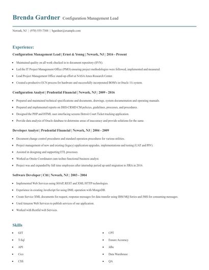 Configuration Management Lead Resume