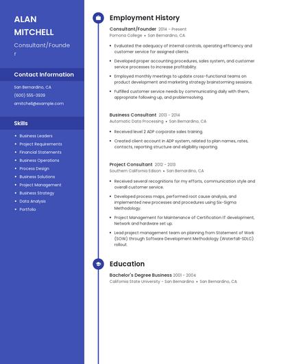 Consultant/Founder Resume