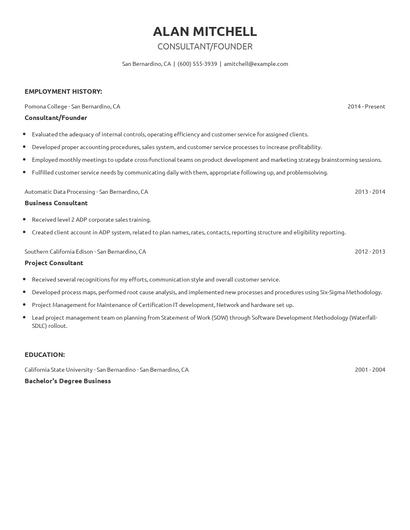Consultant/Founder Resume
