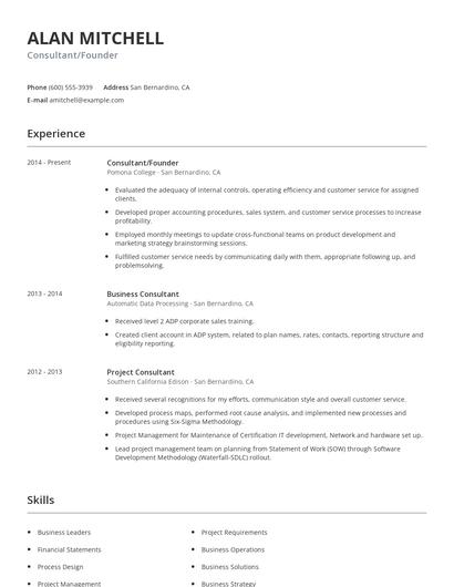 Consultant/Founder Resume