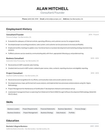 Consultant/Founder Resume