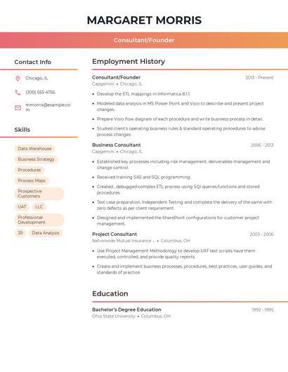 Consultant/Founder Resume