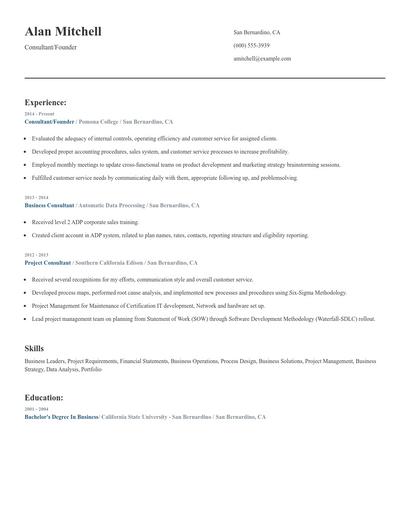Consultant/Founder Resume