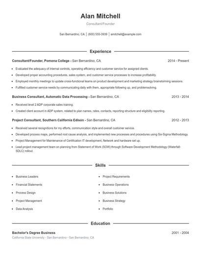 Consultant/Founder Resume