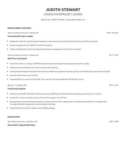 Consultant/Project Leader Resume