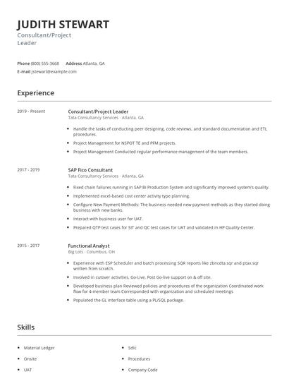 Consultant/Project Leader Resume