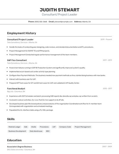Consultant/Project Leader Resume