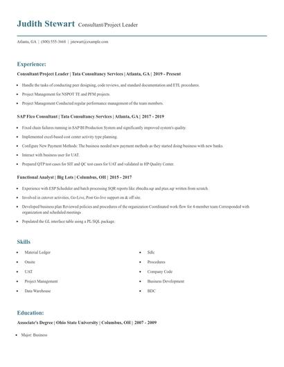 Consultant/Project Leader Resume