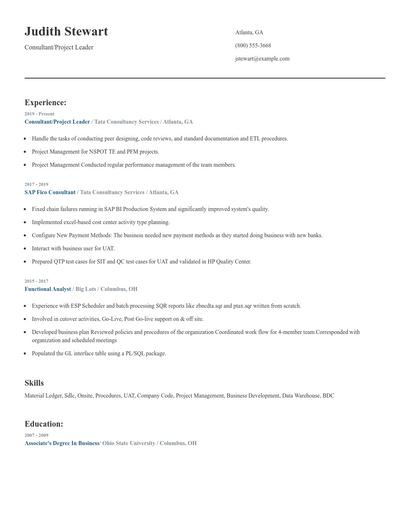 Consultant/Project Leader Resume