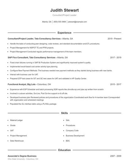 Consultant/Project Leader Resume
