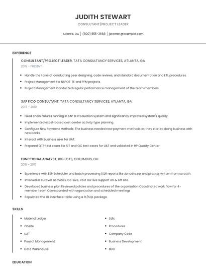 Consultant/Project Leader Resume