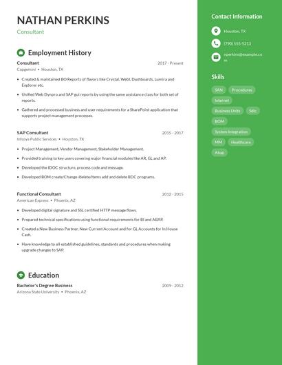 Consultant Resume
