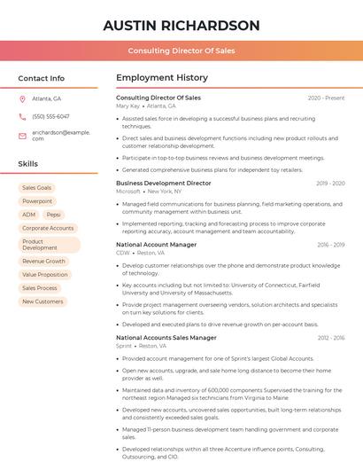 Consulting Director Of Sales Resume