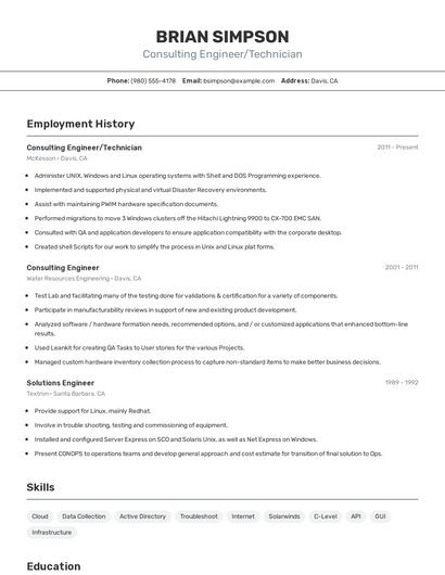 Consulting Engineer/Technician Resume