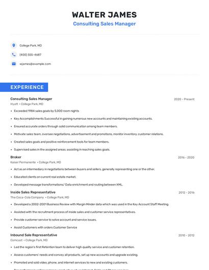 Consulting Sales Manager Resume