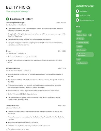 Consulting Sales Manager Resume