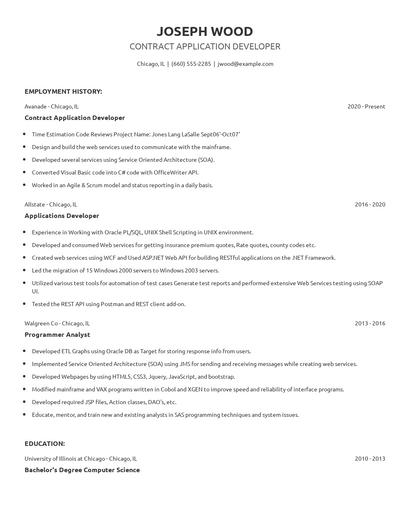 Contract Application Developer Resume