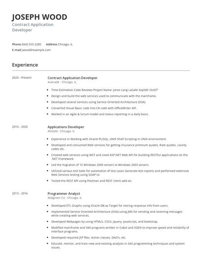 Contract Application Developer Resume