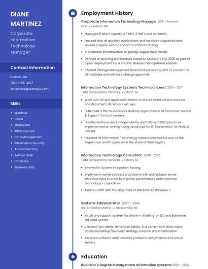 Corporate Information Technology Manager Resume