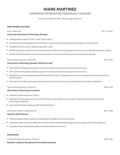 Corporate Information Technology Manager Resume