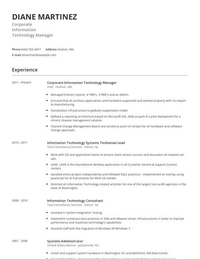 Corporate Information Technology Manager Resume