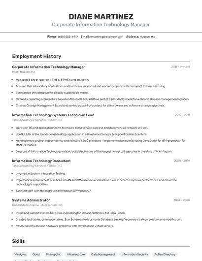 Corporate Information Technology Manager Resume