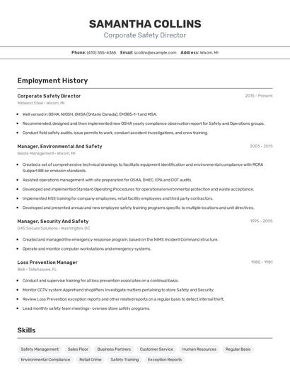 Corporate Safety Director Resume
