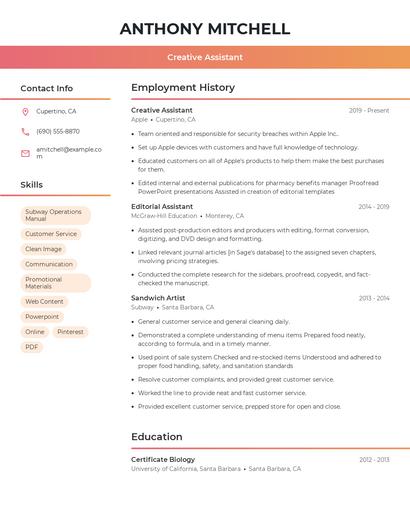 Creative Assistant Resume