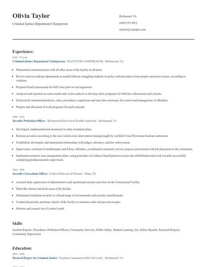 Criminal Justice Department Chairperson Resume