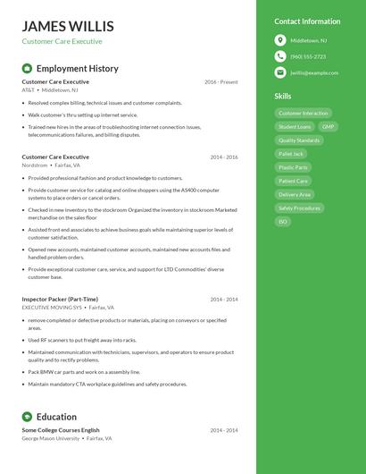 Customer Care Executive Resume