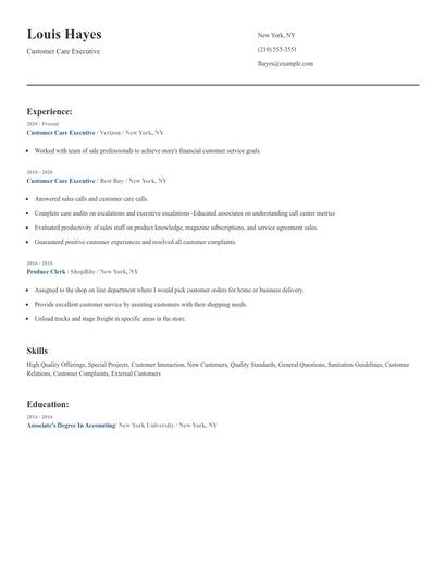Customer Care Executive Resume