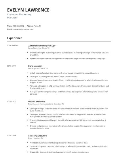 Customer Marketing Manager Resume