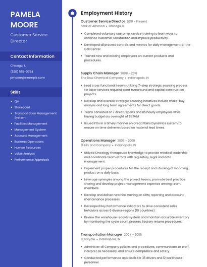 Customer Service Director Resume