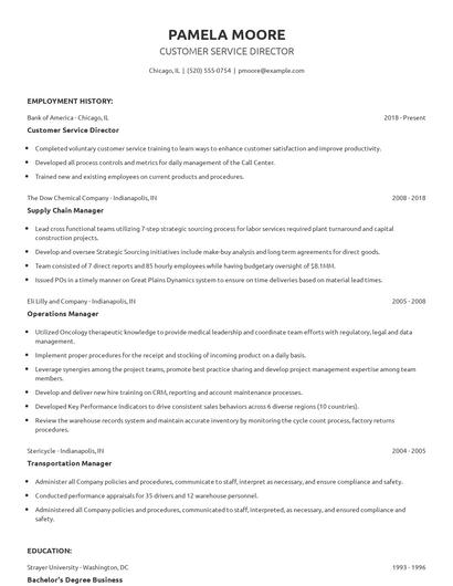Customer Service Director Resume