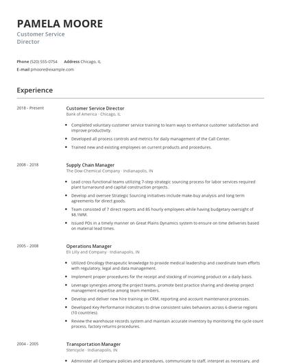 Customer Service Director Resume
