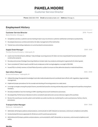 Customer Service Director Resume