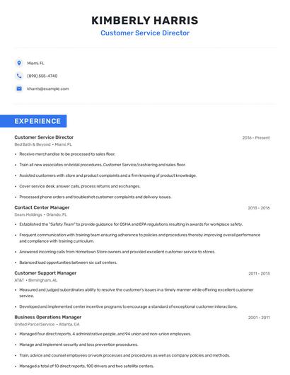 Customer Service Director Resume