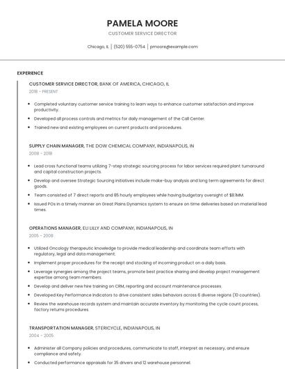 Customer Service Director Resume