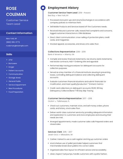 Customer Service Team Lead Resume