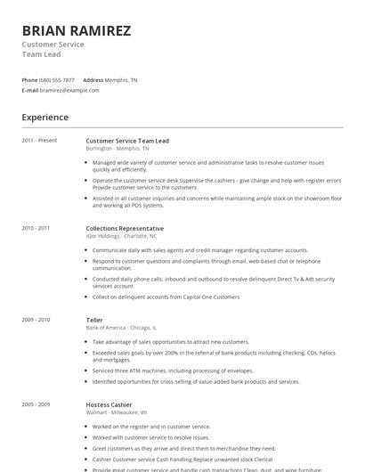 Customer Service Team Lead Resume