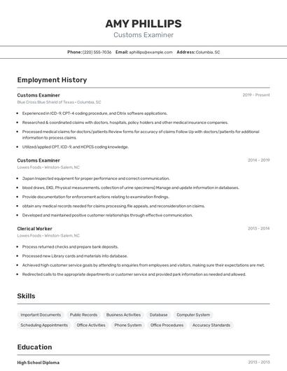 Customs Examiner Resume