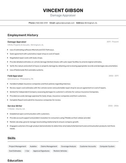 Damage Appraiser Resume