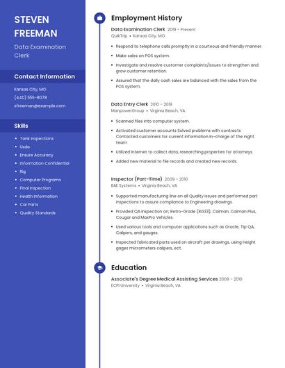 Data Examination Clerk Resume