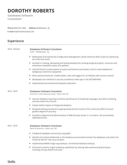 Databases Software Consultant Resume