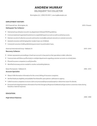 Delinquent Tax Collector Resume