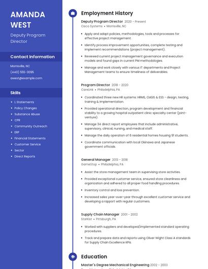 Deputy Program Director Resume