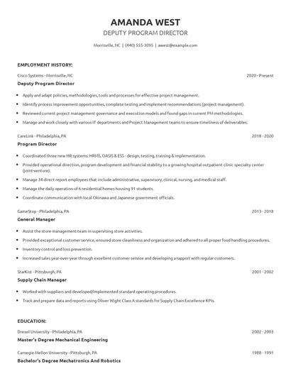 Deputy Program Director Resume